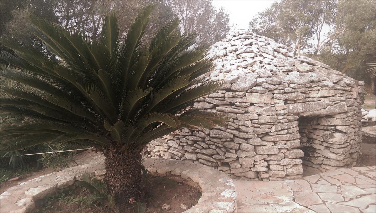 Domaine De Foresta Bonifacio  Eksteriør billede